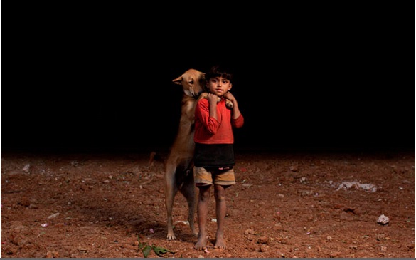 niños huerfanos adoptan perros 1