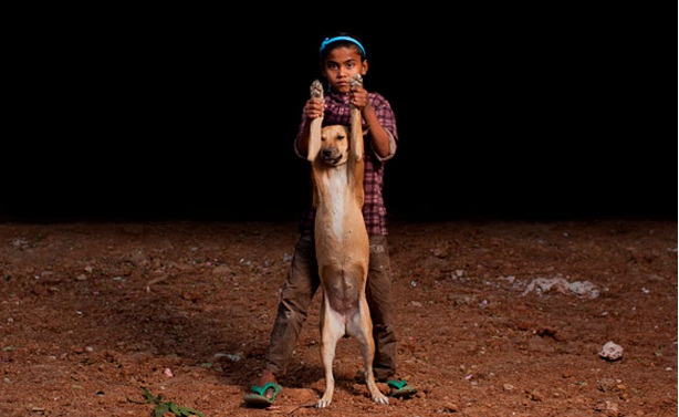 niños huerfanos adoptan perros 5