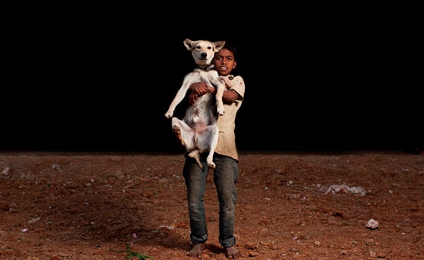 niños huerfanos adoptan perros 7