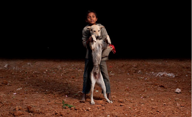 niños huerfanos adoptan perros 8