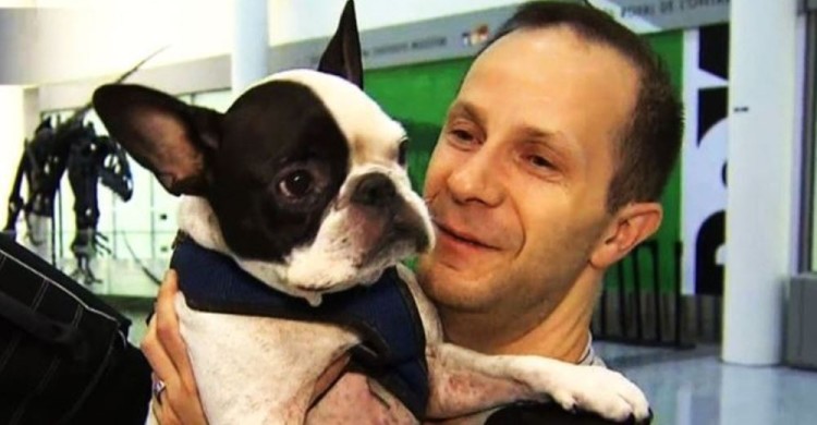 perro-rescatado-por-piloto