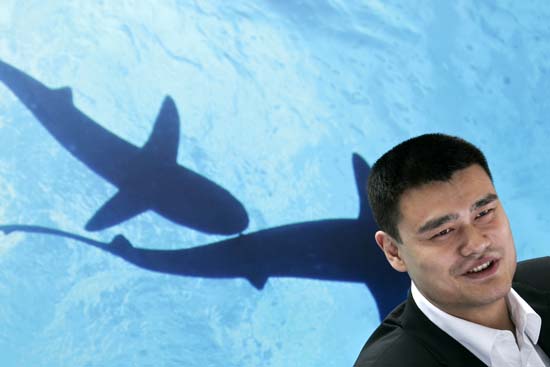 yao-ming-animales3