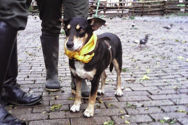 policía se convierte en héroe 3