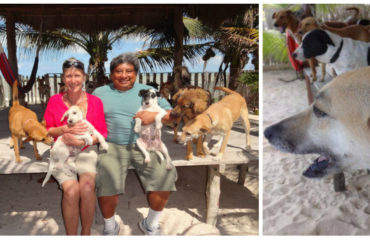 animal-rescue-bonnie-beach-portada