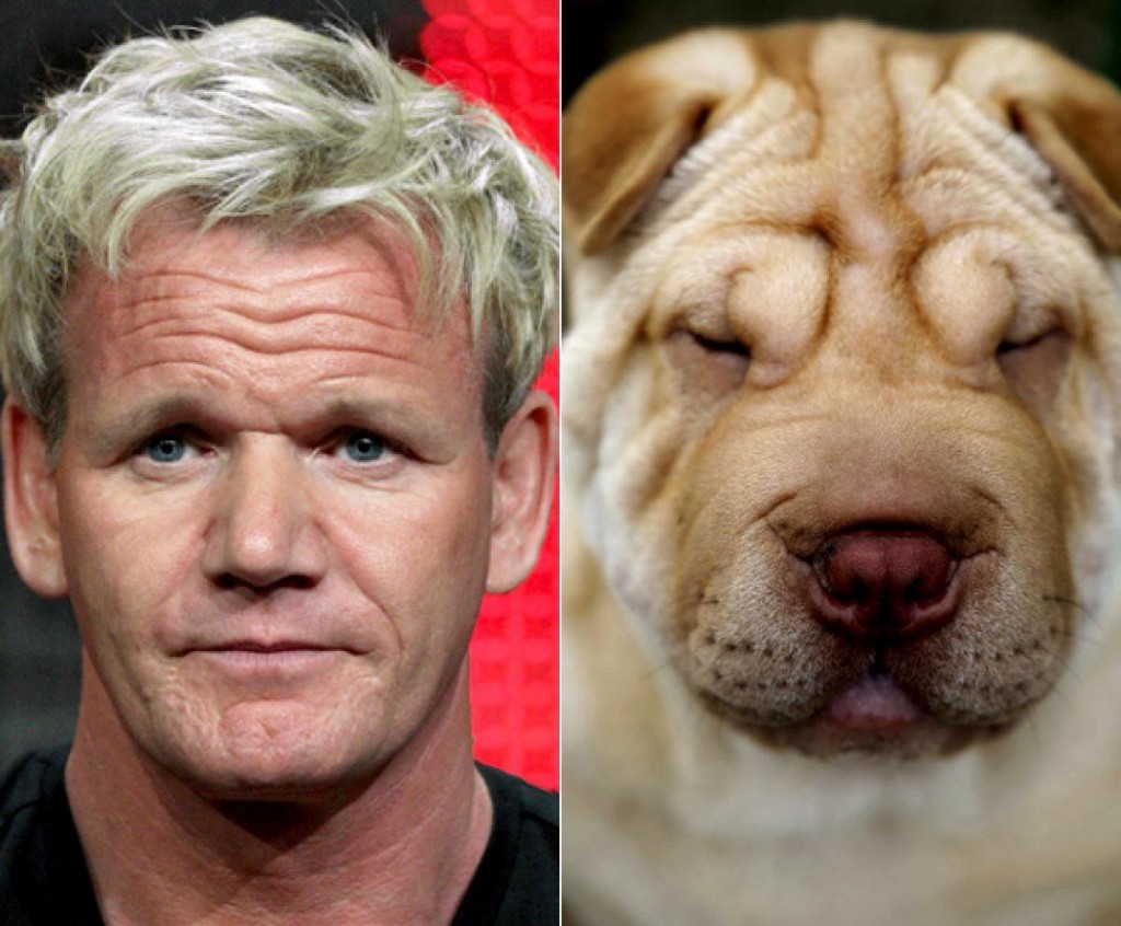 Gordon Ramsay