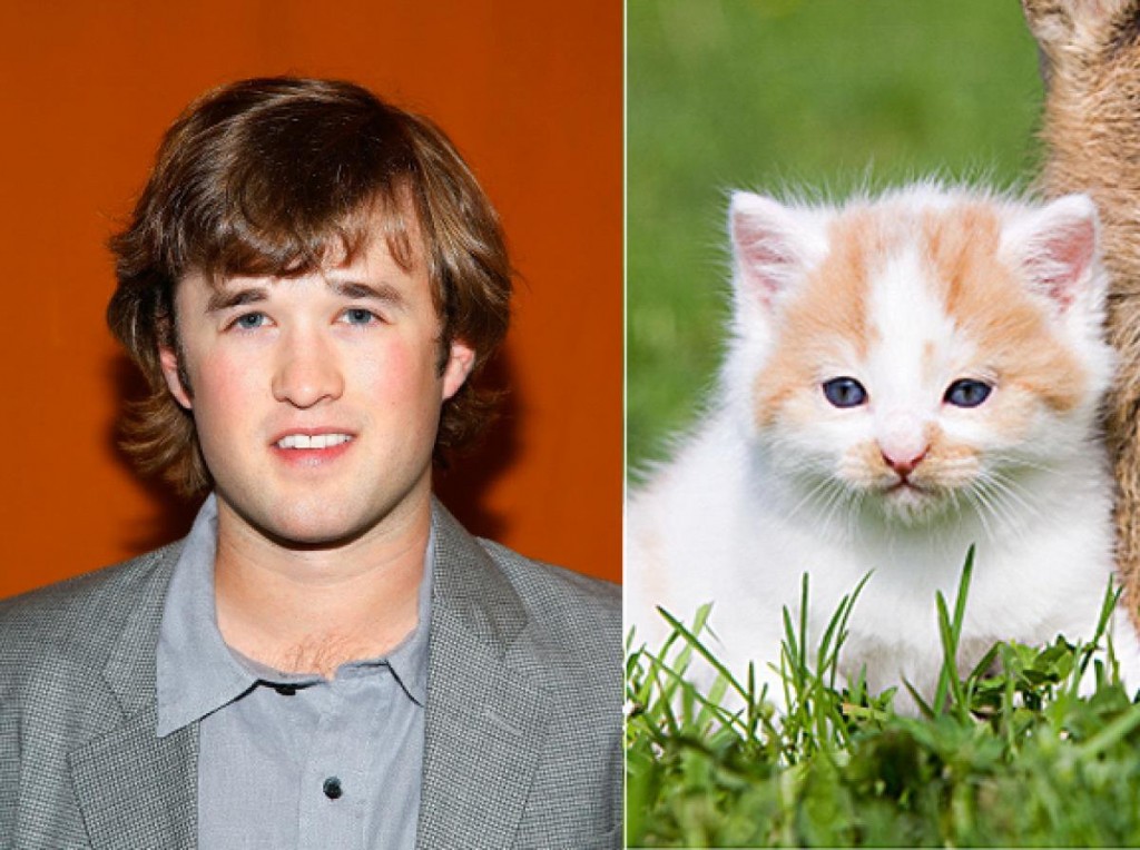 Haley Joel Osment