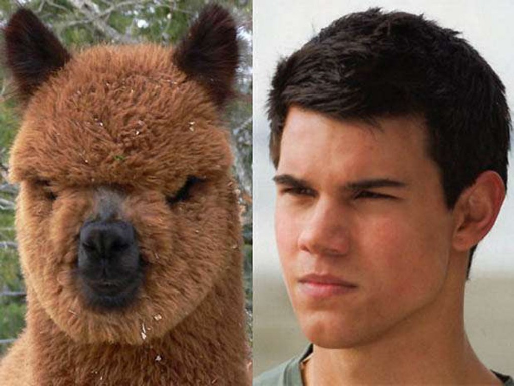 Jacob Black