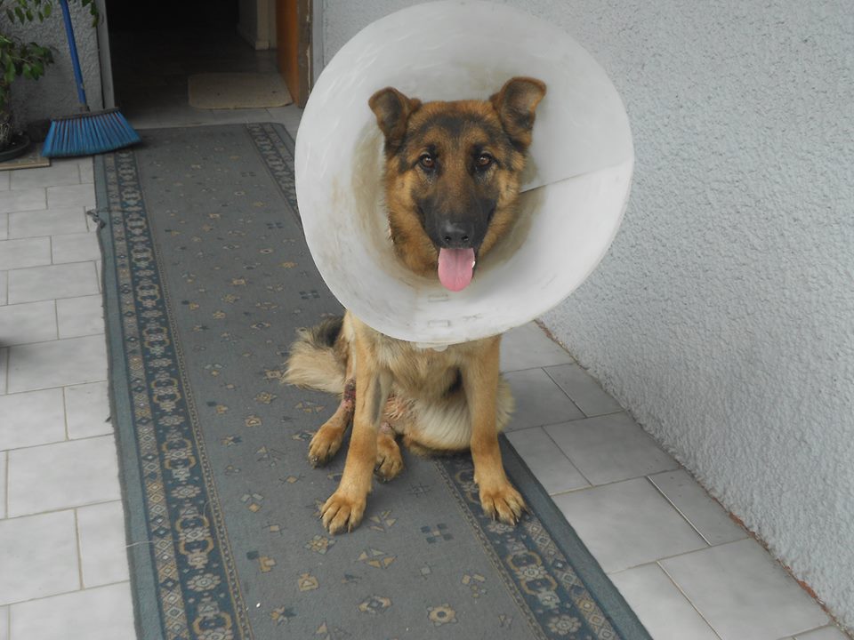 yuli recuperacion