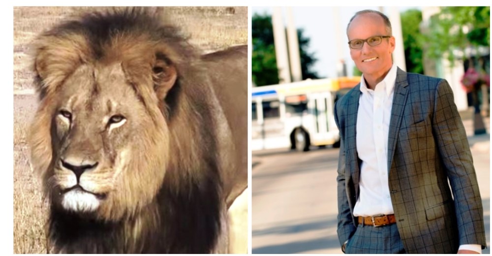 El cazador que acabó con la vida de Cecil fue identificado: es estadounidense y dentista El cazador que acabó con la vida de Cecil fue identificado: es estadounidense y dentista