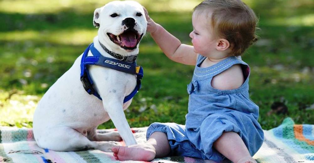 Captan en el parque a una bebé que no tiene bracito y una perrita que se acerca