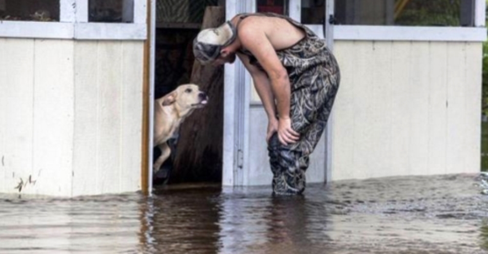 Perrito se niega a separarse del hombre que lo salvó tras ser dejado atrás en una inundación