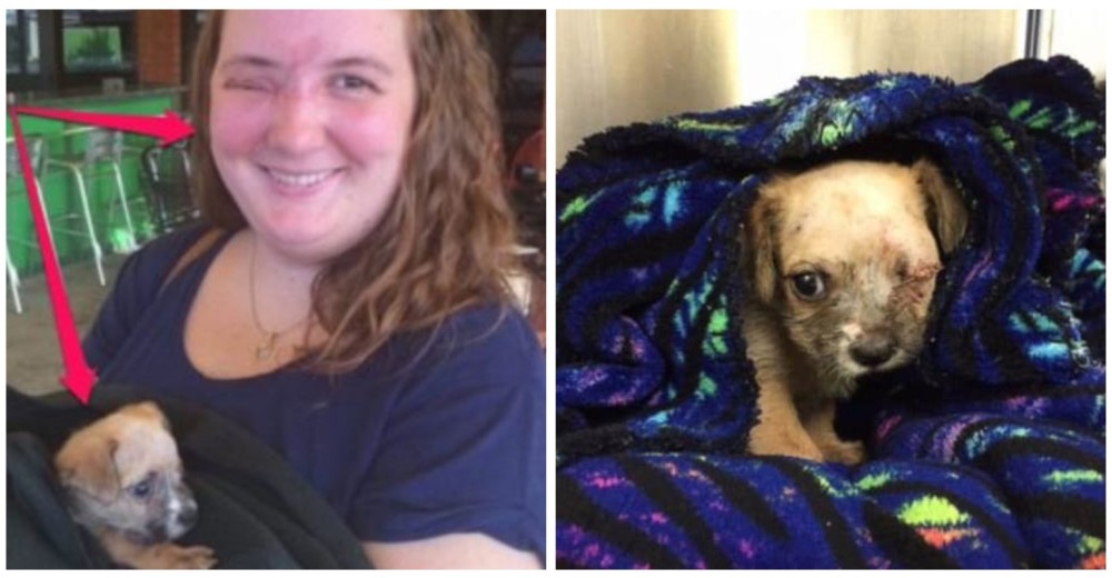 María sufrió la pérdida de un ojo en un robo – Encontró a un amigo que le cambió la vida María sufrió la pérdida de un ojo en un robo – Encontró a un amigo que le cambió la vida