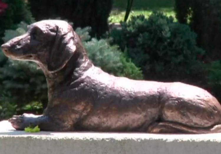 Estatua de perro en Serbia 5