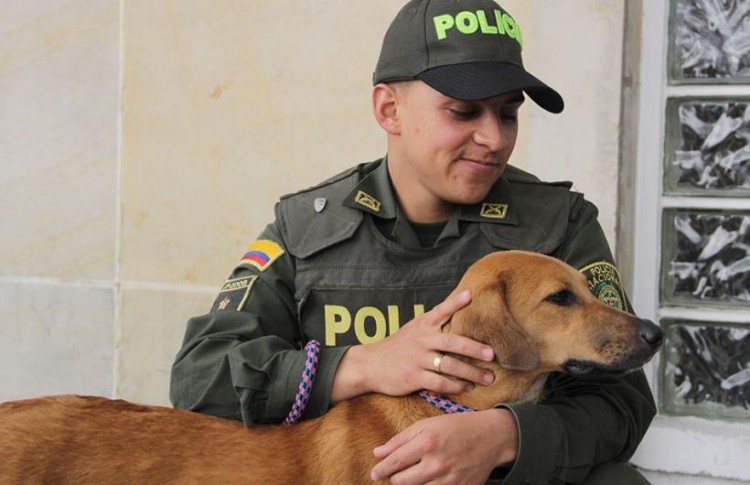 Policia Colombiano rescata a perro 3