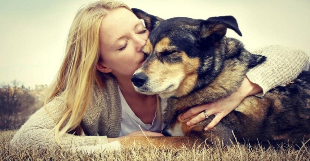 ¿Eres de los que trata a sus perros como a hijos?–La ciencia al fin demuestra que teníamos razón