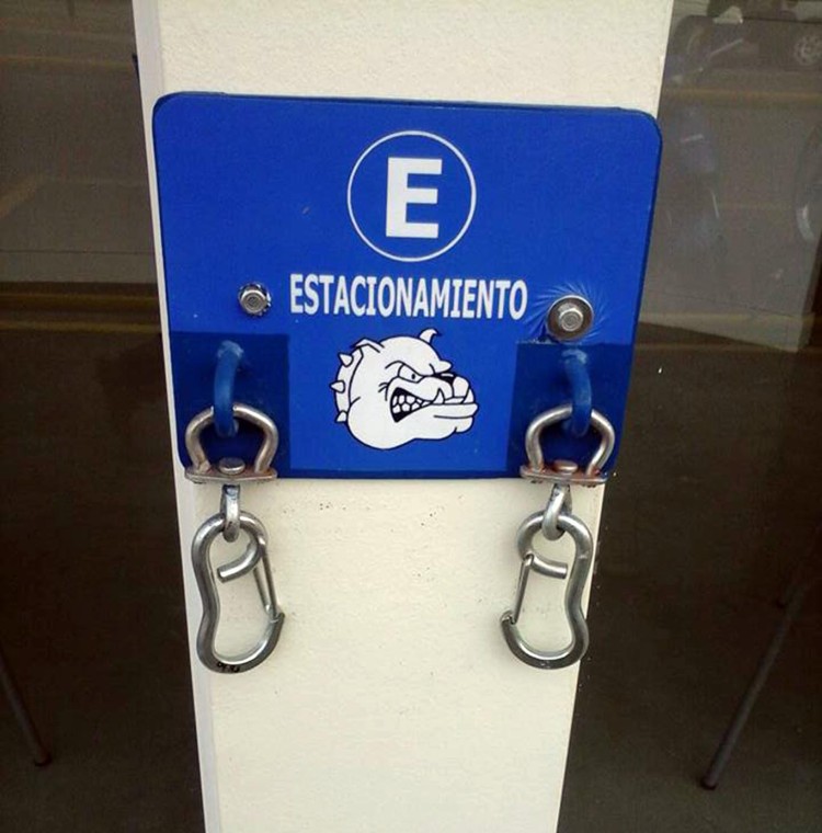 estacionamiento-para-mascotas4