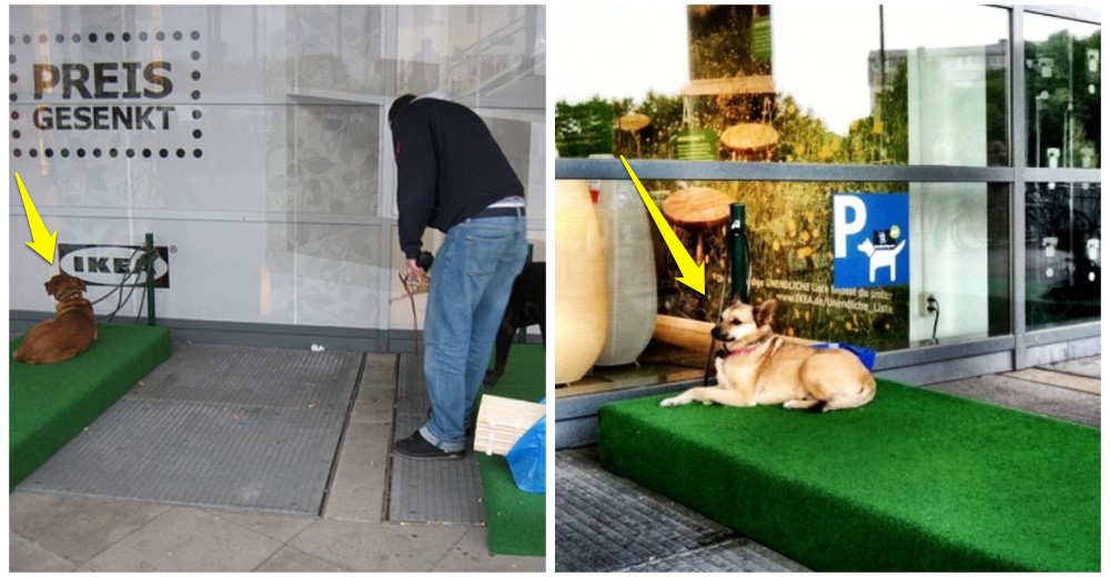 IKEA crea un cómodo lugar para que las mascotas puedan esperar a sus dueños mientras compran