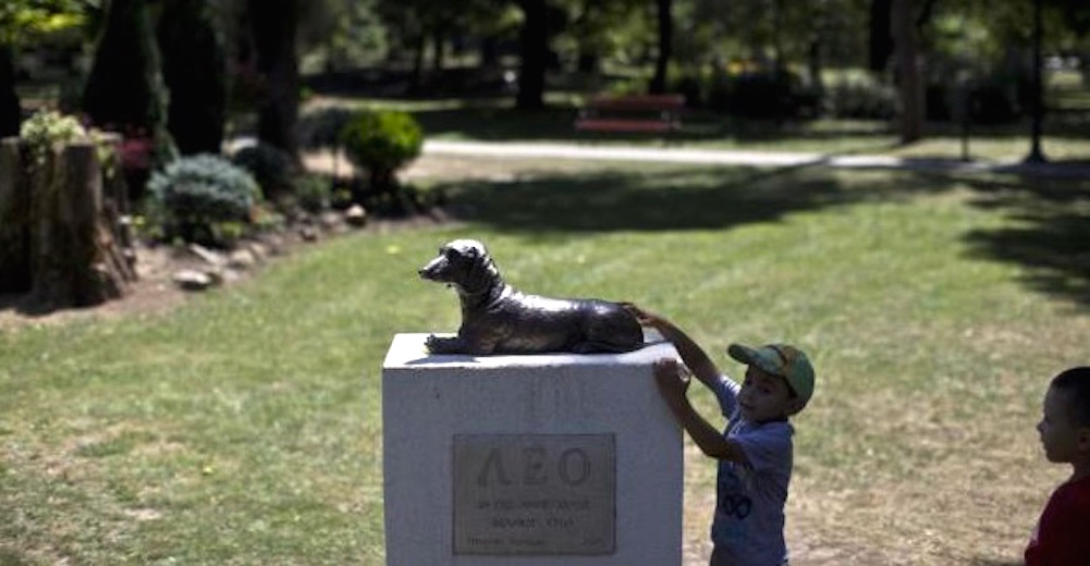 Un perro muere por defender a una niña y la gente no puede dejar de llorar ante su estatua