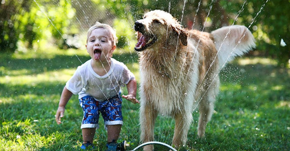 ¿Necesitan los niños tener una mascota a su lado? Estas fotografías lo dicen todo … ¿Necesitan los niños tener una mascota a su lado? Estas fotografías lo dicen todo …