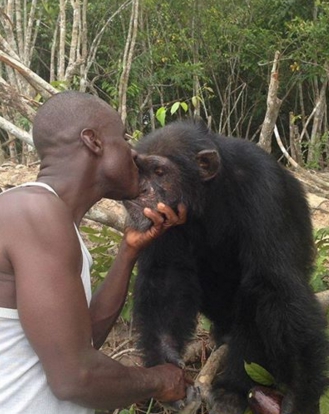 hombre-no-quiere-separarse-de-orangutan1