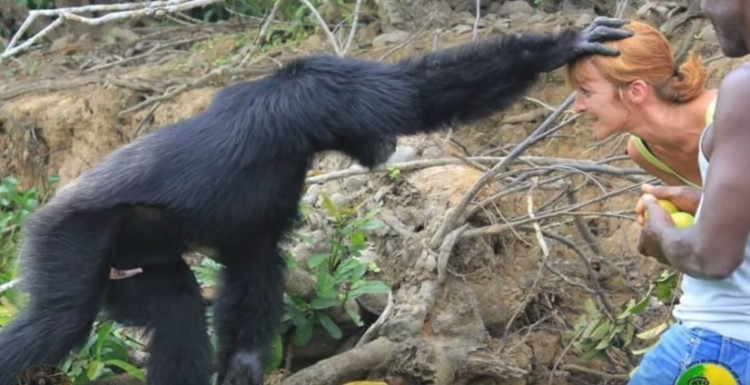 hombre-no-quiere-separarse-de-orangutan8