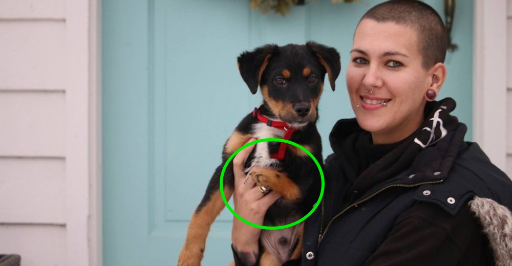 Una chica viaja al otro lado del país para adoptar a un perro «muy especial»