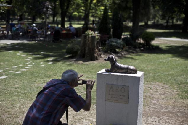 perro muere salvando niña 2