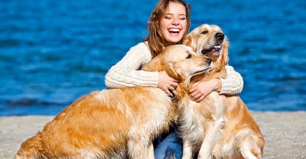 ¿Por qué cuestionar a quien prefiere tener en su hogar un perro y no a un niño?