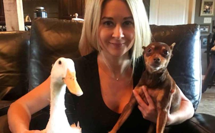 duck-and-dog-adopted 1