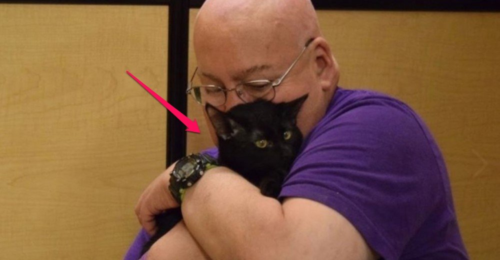 Le salvó la vida a un gato y el gato no dudó en devolverle el mismo favor