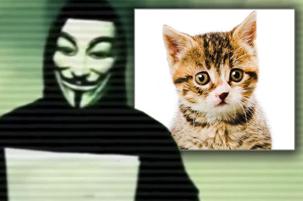 Anonymous-maltrato-animal