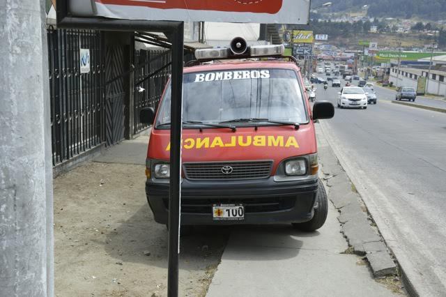 bombero-rescata-perro-atropellado5