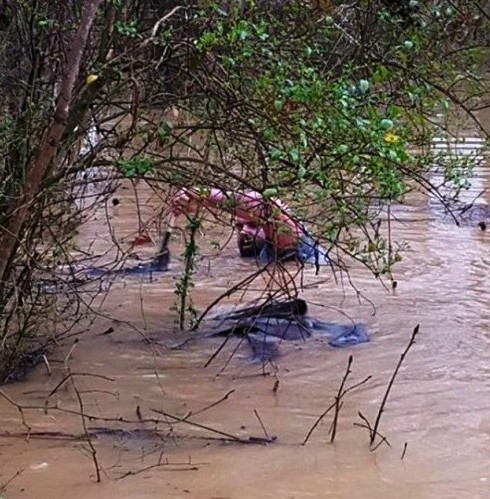 hombre bote animales inundacion 3 portada