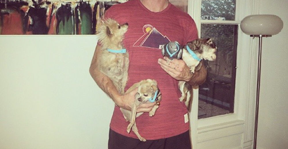 Dedica su vida entera a la adopción de los perros que nadie quiere tener Dedica su vida entera a la adopción de los perros que nadie quiere tener