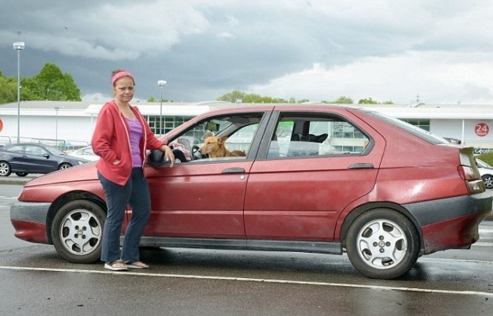 profesora-vive-en-coche-con-sus-perros4