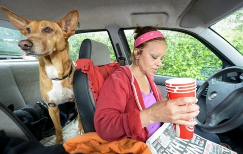 profesora-vive-en-coche-con-sus-perros6