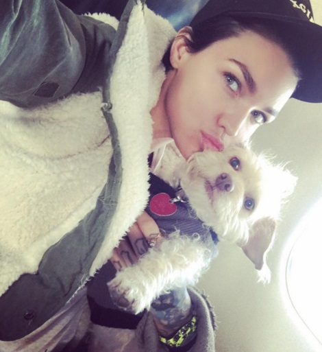 ruby rose vacaciones perro 11