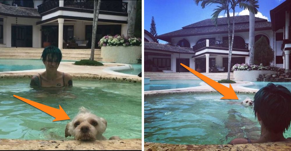 Descubre qué actriz famosa compartió unas geniales vacaciones junto a su perrita rescatada