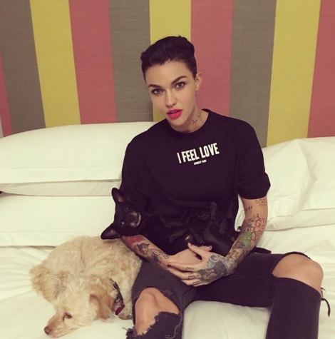 ruby rose vacaciones perro 9