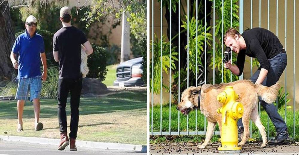 El famoso actor Ryan Gosling detuvo su camino para hacer un gesto grandioso