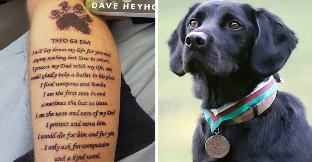 Este veterano de guerra rindió un emotivo homenaje a su perro que lo acompañará para siempre Este veterano de guerra rindió un emotivo homenaje a su perro que lo acompañará para siempre