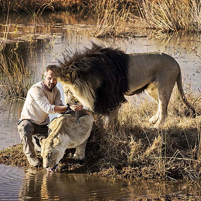 Leones abrazan a hombre 1212