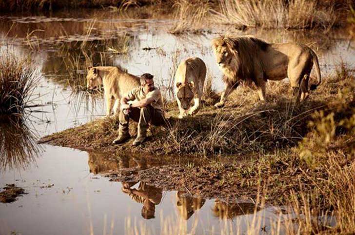 Leones abrazan a hombre 88