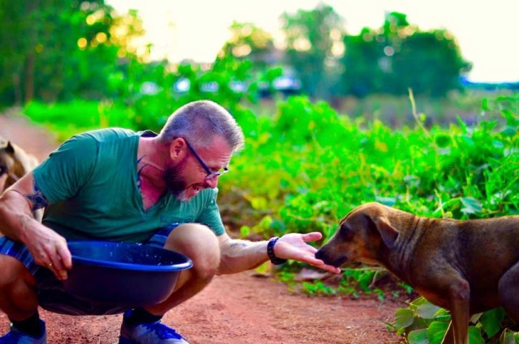 alimenta-perros-en-tailandia2