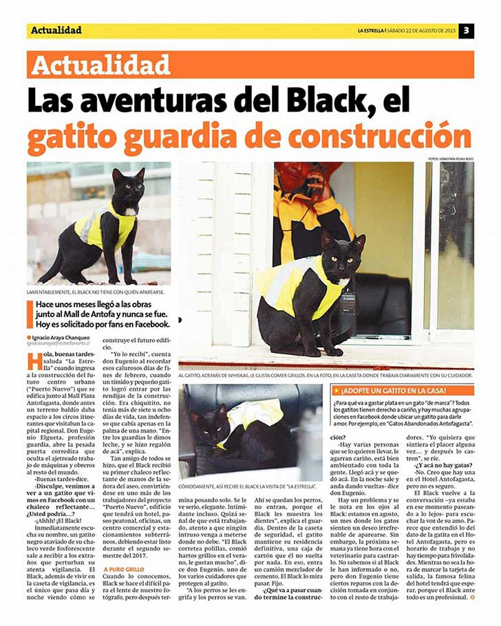 gato black 5