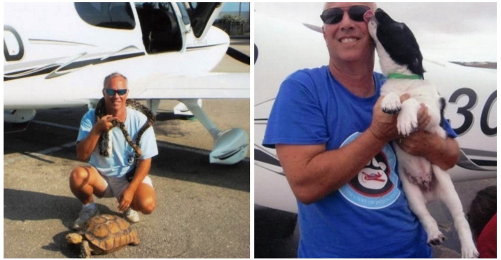 Admirable – Este hombre y sus alas son los héroes de 5.000 animales sin hogar Admirable – Este hombre y sus alas son los héroes de 5.000 animales sin hogar