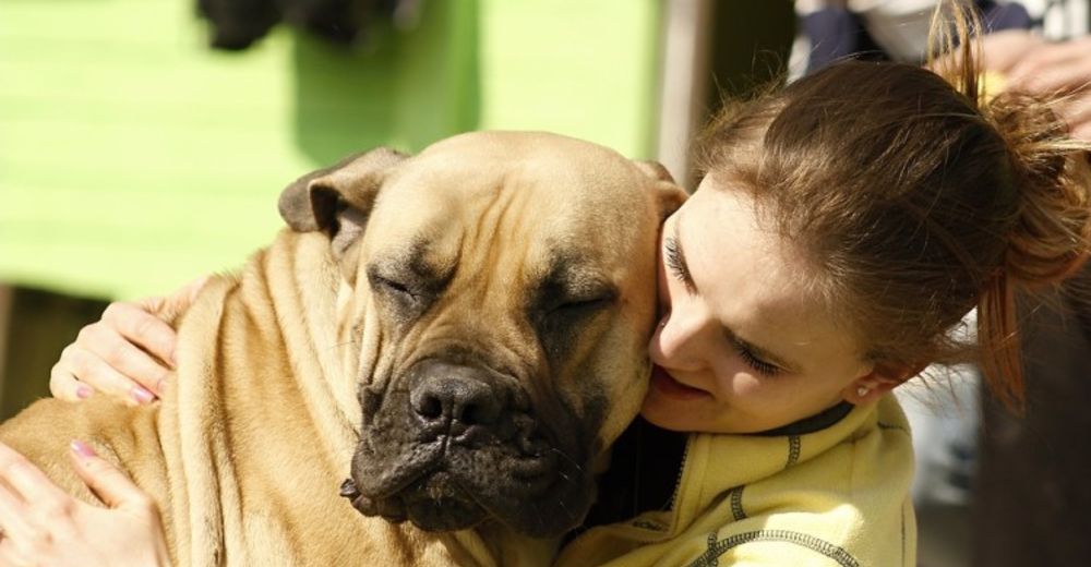 Estas son las 4 razones más importantes por las que tener una mascota mejora tu vida