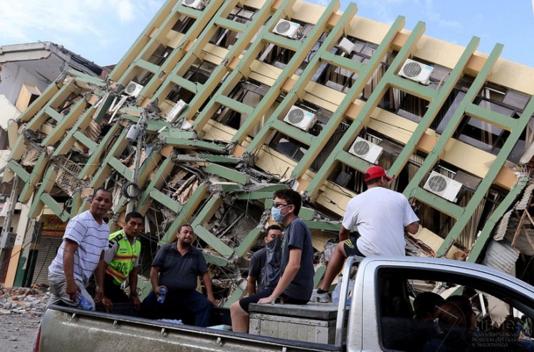 perro-adoptado-despues-de-terremoto-ecuador11