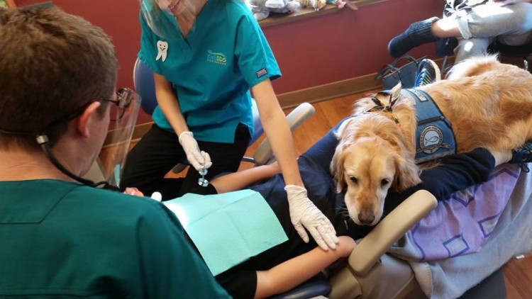 perro-calma-a-pacientes-dentista3