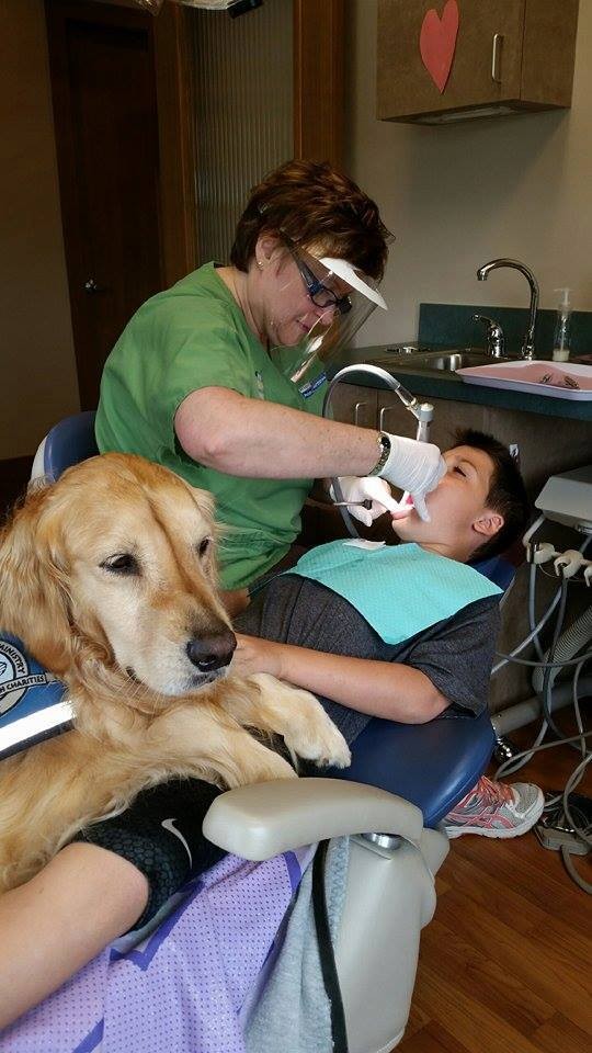 perro-calma-a-pacientes-dentista6